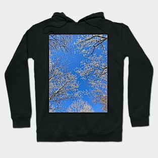 Trees Blooming In Spring Hoodie